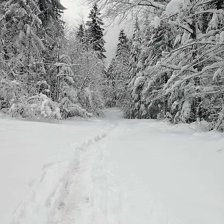 Bogu Iza Nogu 1 Holiday home Rastiste