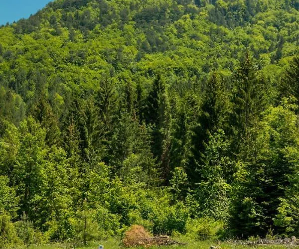 Bogu Iza Nogu 1 Prázdninový dům