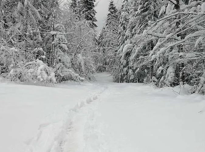 Bogu Iza Nogu 1 Prázdninový dům Rastiste