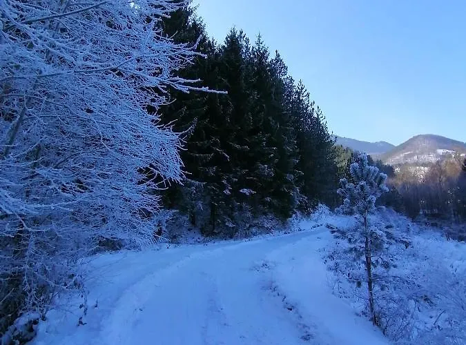 Bogu Iza Nogu 1 Prázdninový dům *