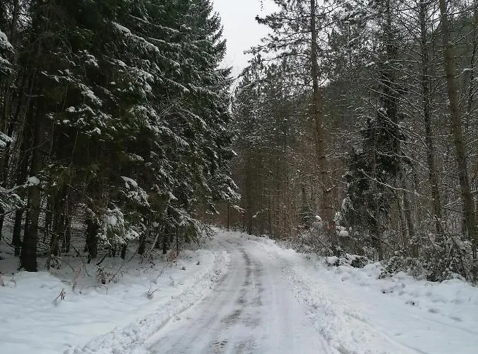 Prázdninový dům Bogu Iza Nogu 1 Rastiste