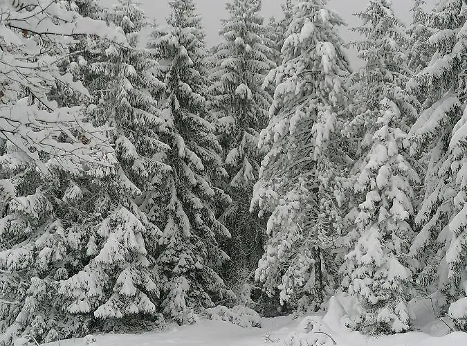 Bogu Iza Nogu 1 Prázdninový dům